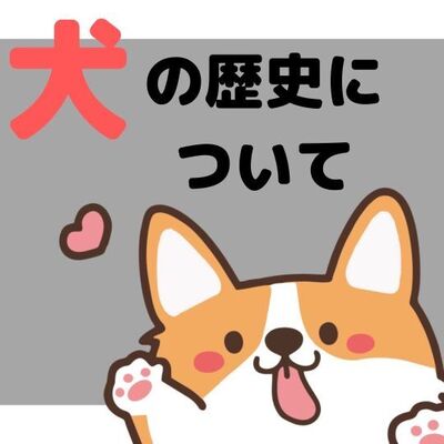 犬 オファー ペット歴