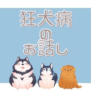 狂犬病のお話し