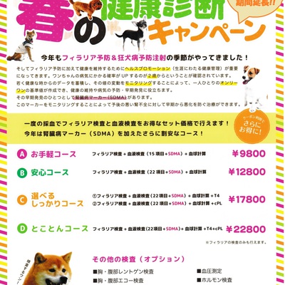 犬の フィラリア検査 春の健康診断キャンペーン お知らせ ココニイル動物病院 中野 高円寺 杉並 犬 猫 フェレット うさぎ 鳥